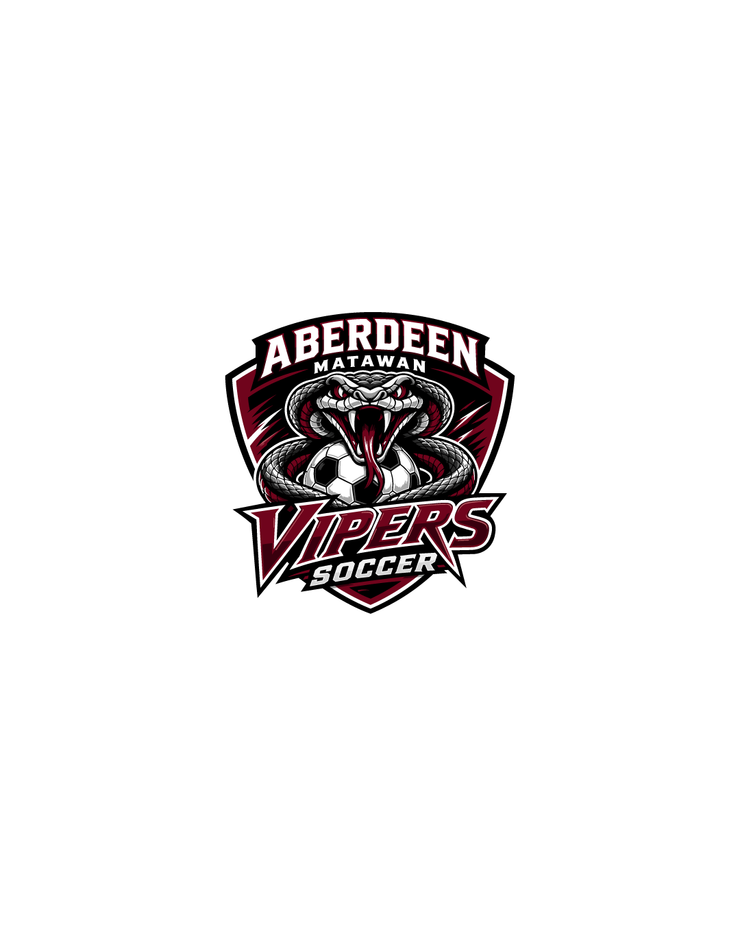 VIPER Soccer Spirit Store